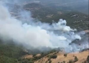Kepsut’ta Orman Yangınına Havadan ve Karadan Müdahale