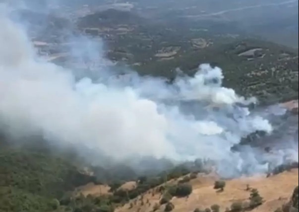 Kepsut’ta Orman Yangınına Havadan ve Karadan Müdahale