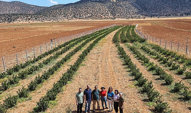Beğiş Susuzu Projesiyle Kurak Tarımdan Meyve ve Aromatik Bitkilere Yeni Umut