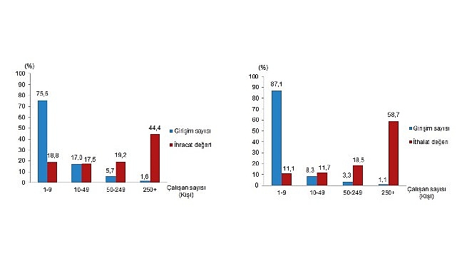 Girişimlerin Dış Ticaret Dağılımı ve Sektörel Payları 2024 Analizi