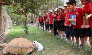 4 Ekim Hayvanları Koruma Günü’nde Öğrencilere Doğal Yaşam Parkı’nda Özel Etkinlik ve Doğaya Salınan Güvercinler