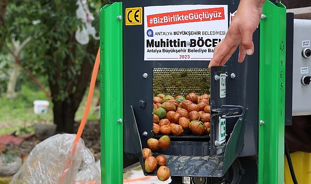 Antalya’da Ceviz Hasadında Hibeyle Gelen Ceviz Soyma Makinası Çiftçinin Yükünü Azalttı