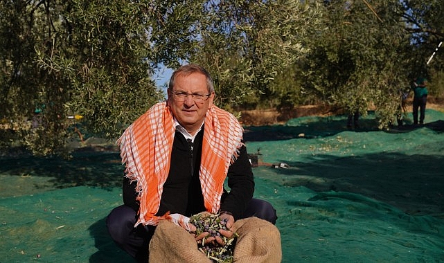 Ayvalık Uluslararası Zeytin Hasat ve Turizm Festivali: Tağşişli Zeytinyağına Karşı Harekete Geçen Bir Gelenek