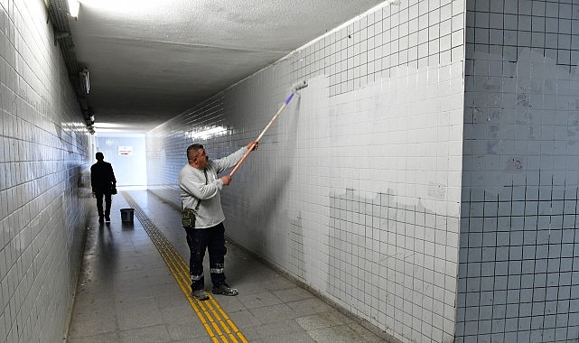 Çiğli’de Sonbahar Temizliği ve Estetik Dokunuşlar: Ağaç Bakımı ve Alt Geçit Yenilemeleri