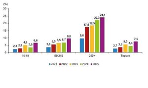 Girişimler ve Bireyler Arasındaki Yapay Zeka Kullanımına Yönelik Türkiye Göstergeleri (2021-2025)