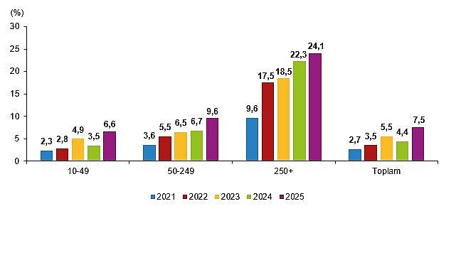 Girişimler ve Bireyler Arasındaki Yapay Zeka Kullanımına Yönelik Türkiye Göstergeleri (2021-2025)