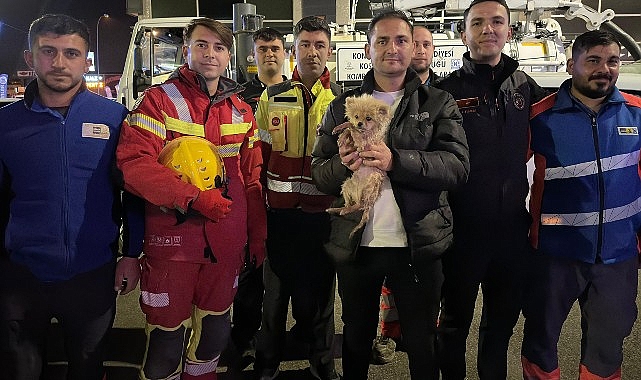 Kanalizasyon Borusunda Mahsur Kalan Köpekten Umut Dolu Kurtuluş: 6 Saatlik Müdahale