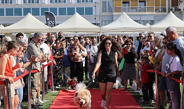 Patilerin Festivali: İzmir’in Gündoğdu Meydanı’nda Sahipsiz Dostlar İçin Yeni Bir Gün