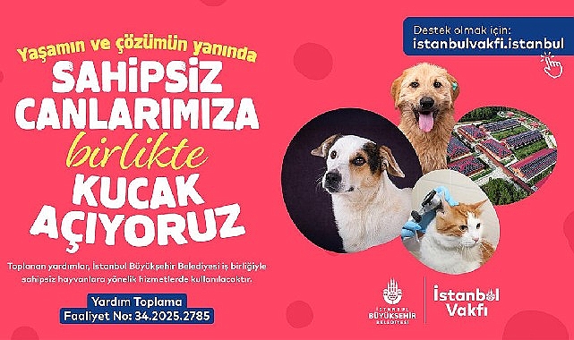 Sahipsiz Hayvanlar İçin Dayanışma: İstanbul Vakfı ve İBB’den Güçlü Destek Kampanyası