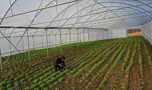 Seracılıkta Yeni Dönem: %50 Hibeli Modern Sera Desteği Devam Ediyor