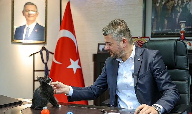 Sokak Hayvanlarına Sahip Çıkma Çağrısını Yıl Boyu Hatırlatan Bir Fotoğraf: Üzüm’le Önceki Yılın Anısı ve Bugün