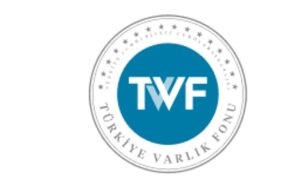TTF: Türkiye Teknoloji Fonu ile Girişimcilik Ekosisteminde Stratejik Büyümeye Yönelik Taahhütler ve Küresel Bağlantılar