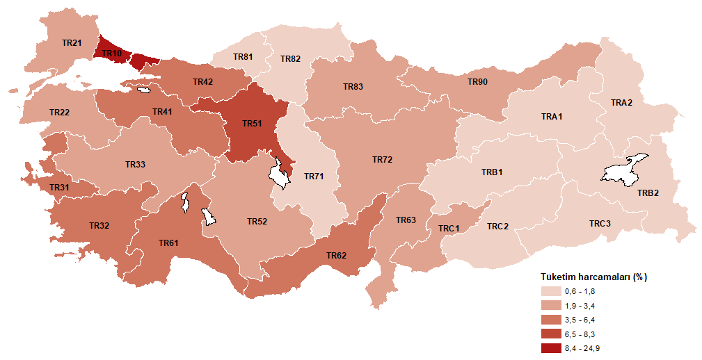 Türkiye Geneli Tüketim Harcamaları ve Bölgesel Dağılımına Yönelik Entegrasyonlu Veri Seti Analizi (2024)