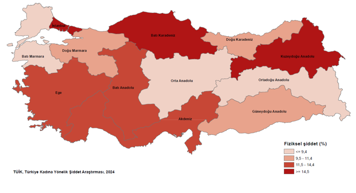 Türkiye Kadına Yönelik Şiddet Araştırması: Bulgular ve Dağılımların Değerlendirilmesi