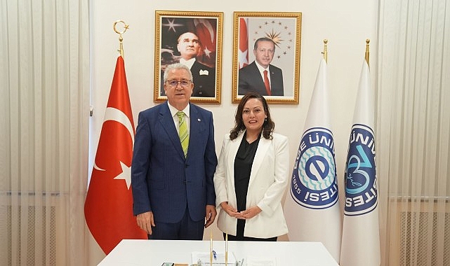 Uluslararası Patent Başarısı: Gypsogenin-Amin Türevi Bileşiklerin Kanser Araştırmalarındaki Yeni Sınırları