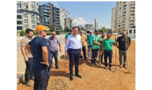 Yenişehir’de Park ve Bahçeler Müdürlüğü’nden Saha Ziyaretleri ve Ağaç Bakım Çalışmaları