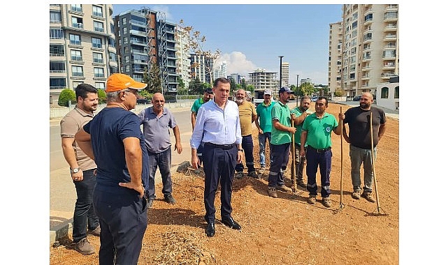 Yenişehir’de Park ve Bahçeler Müdürlüğü’nden Saha Ziyaretleri ve Ağaç Bakım Çalışmaları