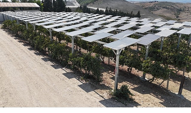 Adana’da 12 MW’lık İSKEN SUGES Faz-2: Eğimli Zemin ve Agro-PV ile Yenilenebilir Enerjide Yeni Bir Dönem