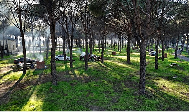 Altınova Mesire Alanı: Yeşilin İçinde 150 Kişilik Yeni Buluşma Noktası