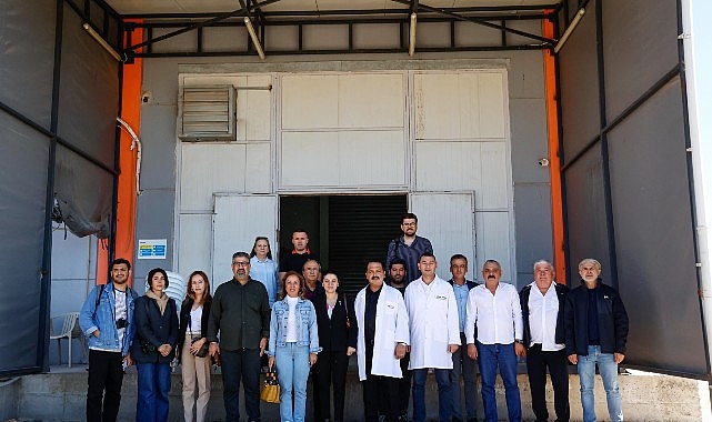 Antalya Halk Ekmek Fabrikası: Ucuz, Kaliteli ve Glutensiz Planlar