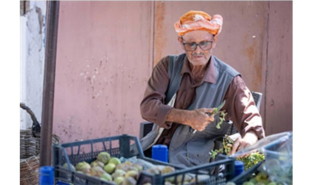 Beydağ İnciri İçin 1034 Kerevetle Kalite ve Değer Katma Desteği