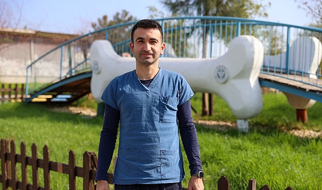 Buca’da Sokak Kedileri İçin Kısırlaştırmada Büyük Artış: 11 Ayda 3 Bin 54 Kedinin Sağlığı İçin Adım Atıldı