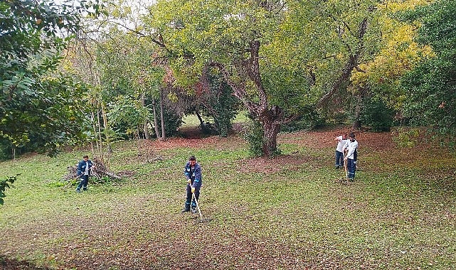 Darıca Millet Bahçesi’nde Güncel Temizlik ve Bakım Faaliyetleri