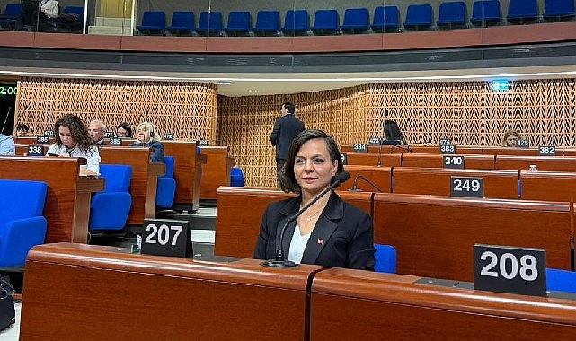 Demokrasi ve İklim Direnci: Yerel Yönetimler Strazburg’da masaya yatırıldı