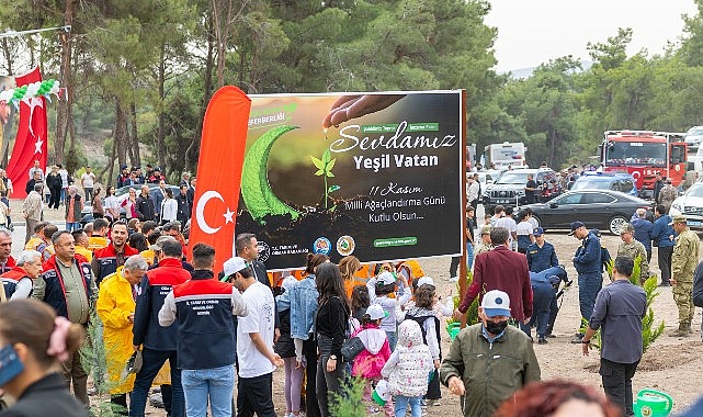 Emirler Millet Ormanı’nda 8 Bin Fidanla Yeniden Canlanan Doğa: Mersinliler El Ele Ağaçlandırma Seferberliğinde