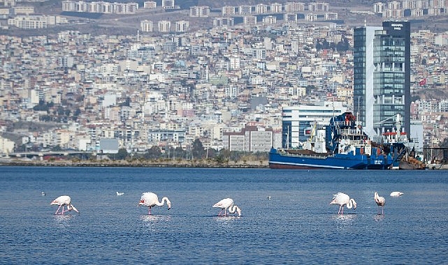 İzmir 2054 Nazım İmar Planı: İklim Akıllı, Katılımcı Ve Dört Sektörlü Yol Haritası