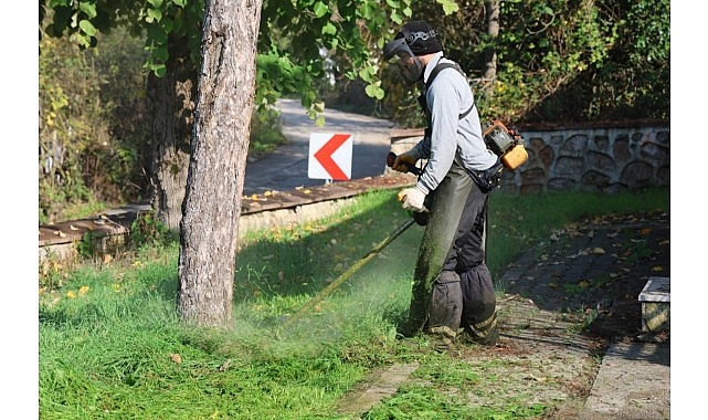 Kartepe’de Ağaç Bakım ve Yeşil Alan Düzenleme Çalışmaları Yeniden Hız Kazandı