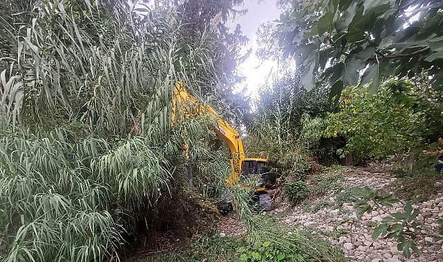 Kemer’de Dere Temizliği: Ekiplerden Mahallelere Yaygın Çalışma Hareketliliği