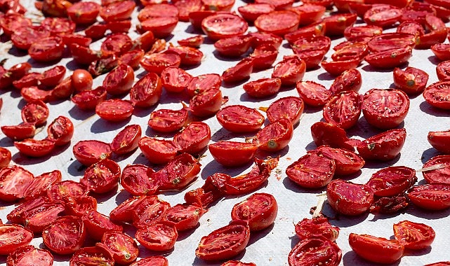 Kuru Domatesin Küresel Ritmi: Türkiye’nin İhracat Başarı Hikayesi ve Potansiyeli