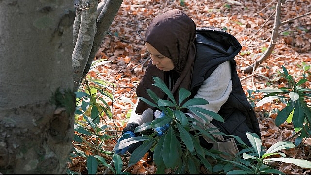 Kuzuyayla’da Doğa Tutkunları İçin Ücretsiz Mantarlama ve Doğa Yürüyüşü Etkinliği