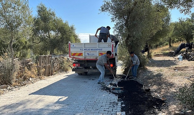 Milas Belediyesi Ekiplerinin Mahallelerde Yoğun Çalışmaları Devam Ediyor