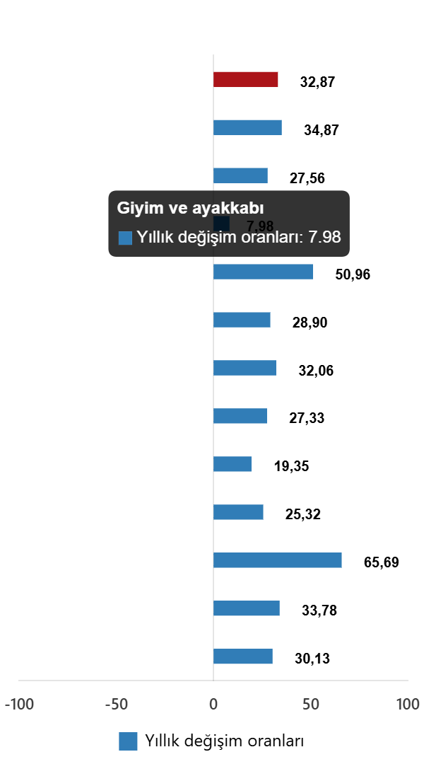 TÜFE Endeksi: Ekim 2025 Göstergeleri ve Ana Harcama Gruplarının Etkileri