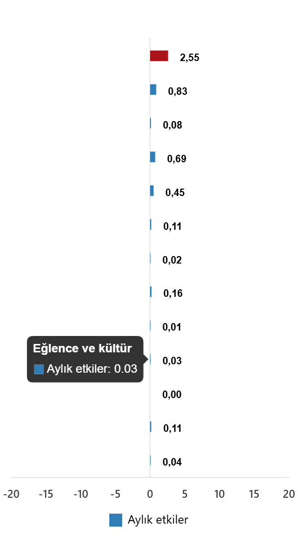 TÜFE Endeksi: Ekim 2025 Göstergeleri ve Ana Harcama Gruplarının Etkileri
