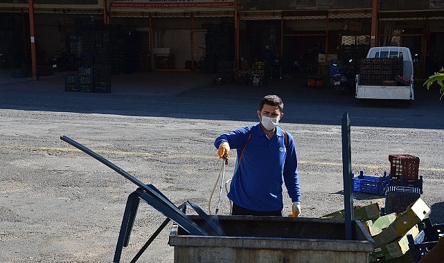Alanya’da Vektörel Mücadele: Daireler ve Noktalar Arasında Sineklerle Mücadele Faaliyetleri