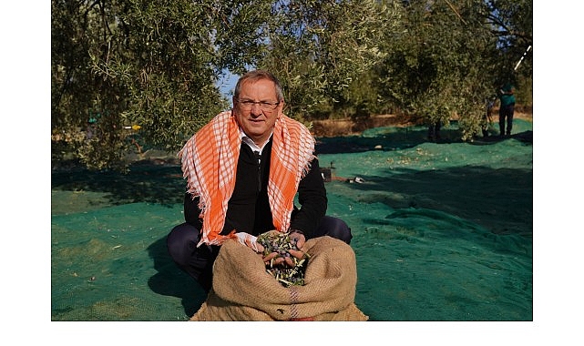 Ayvalık’ta Zeytin Ağaçları ve Barışın Simgesi: Dünya Zeytin Ağacı Günü Mesajı