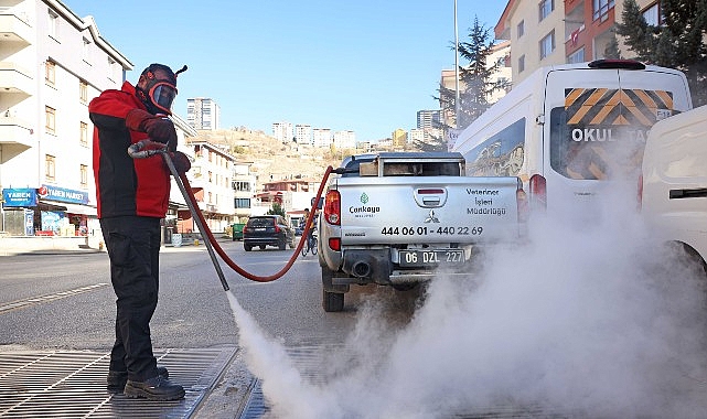Çankaya’da Kış Mevsiminde Sıfır Sıska Mücadele: Sivrisinek ve Haşerelerle Koordine Çalışmalar
