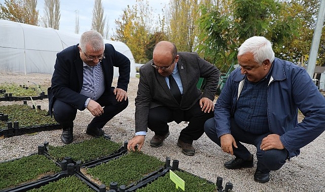 Edremit’te Kuraklığa Karşı Su Tasarruflu Bitkilerle Yeşil Alanlar Genişliyor
