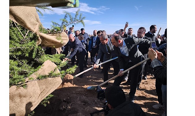 Geleceğe Nefes: Konya’da Ardıçlı Sahası’nda 15 Binin Fidanıyla Yeşeren Proje