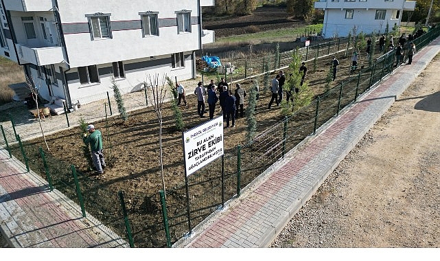İnegöl’de Gençlerden 32 Fidana Can Veren Şükran ve Dayanışma Dediği Proje