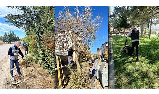 Kahramankazan’da Park ve Yeşil Alanlarda Bakım ve Reyonlama Çalışmaları