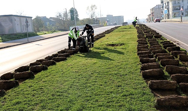 Kartepe Tramvay İnşaatında Peyzaj Malzemeleri ve Ağaç Bakımında Yeni Aşamalar