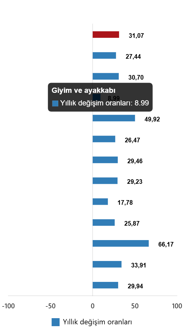 Kasım 2025 TÜFE ve Özel Kapsamlı TÜFE Göstergelerinde Yaşanan Değişimler: Aylık ve Yıllık Analiz
