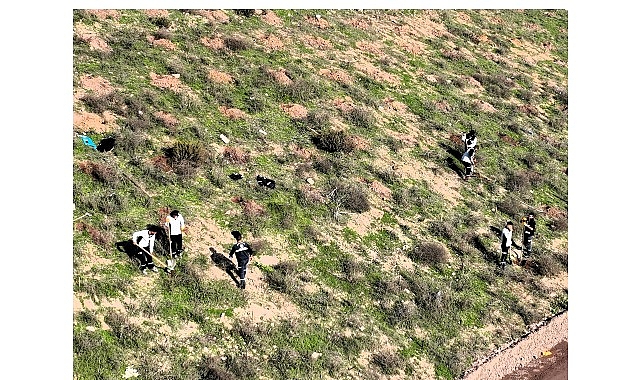 Kocaeli’de Körfez Belen’de 180 Bin Metrekarelik Alan Yeşiliye Bürünüyor: 3 Bin 300 Toros Sediriyle Doğaya Nefes