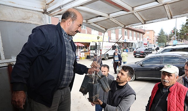 Konya’da Mikro Klima Etkisine Sahip Bölgelerde Antep Fıstığı Fidanı Desteği Artıyor