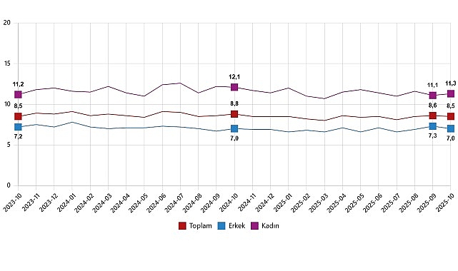 Türkiye İstatistik Kurumu Ekim 2025 İstihdam ve İşsizlik Göstergeleri – Mevsimsel Düzeyler ve Genç Nüfus Analizi