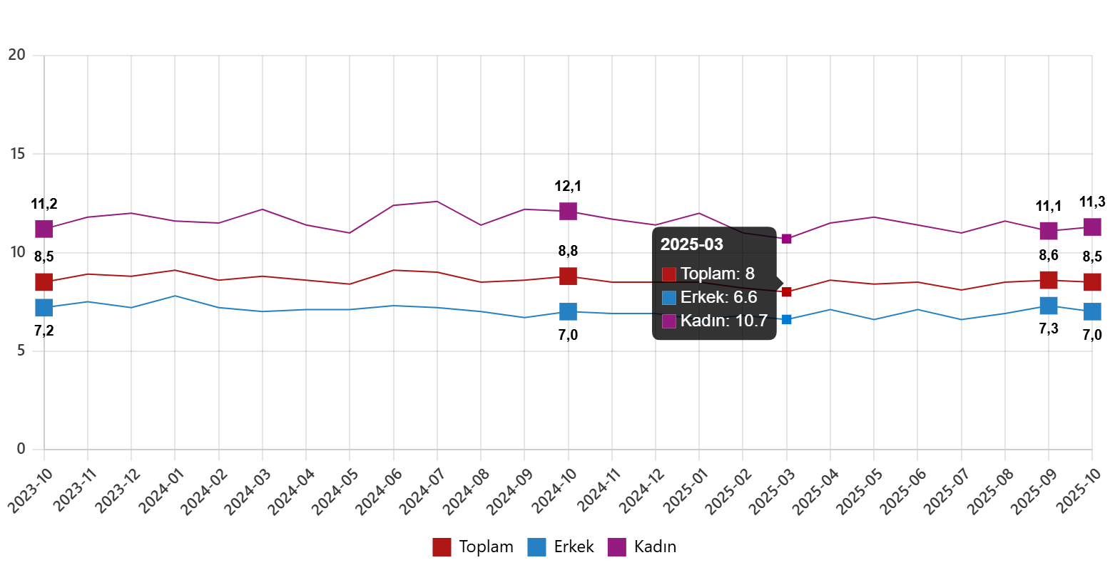Türkiye İstatistik Kurumu Ekim 2025 İstihdam ve İşsizlik Göstergeleri - Mevsimsel Düzeyler ve Genç Nüfus Analizi